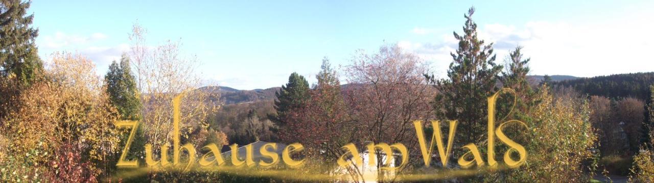 Ferienwohnung Zuhause Am Wald Brilon Exterior foto