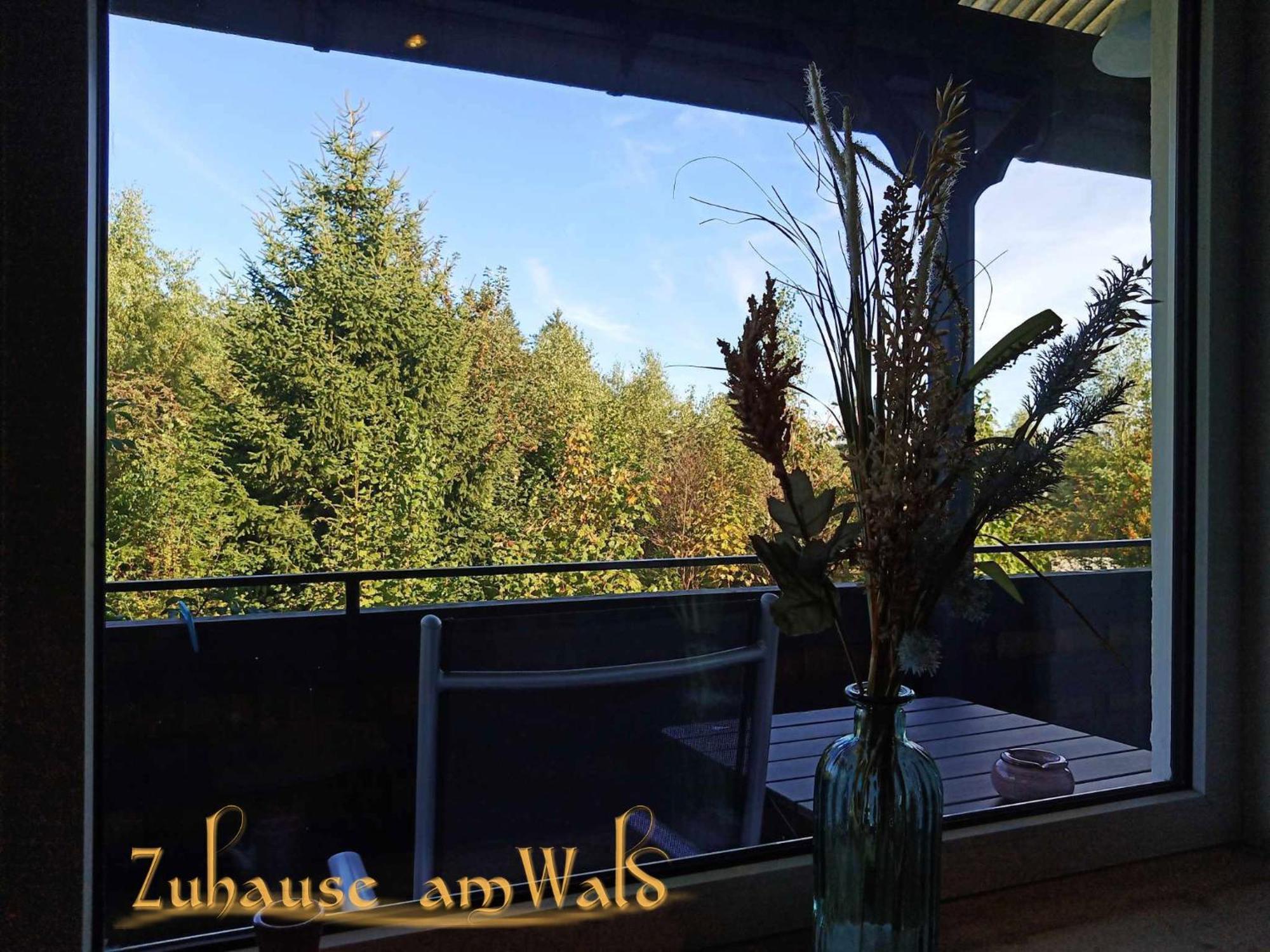 Ferienwohnung Zuhause Am Wald Brilon Exterior foto