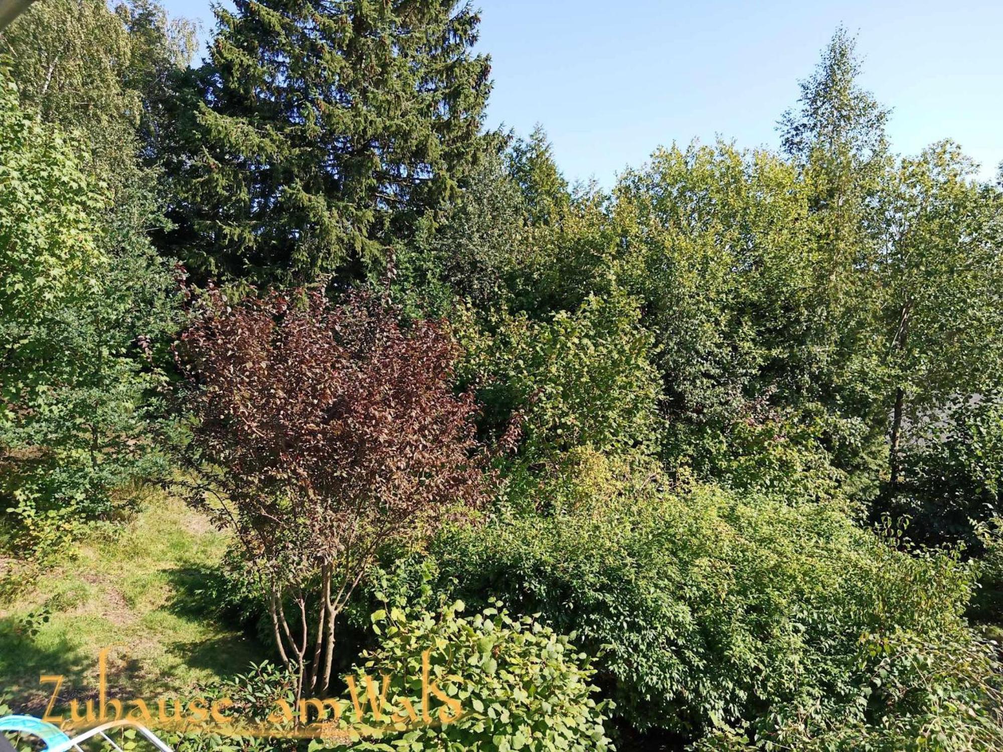 Ferienwohnung Zuhause Am Wald Brilon Exterior foto