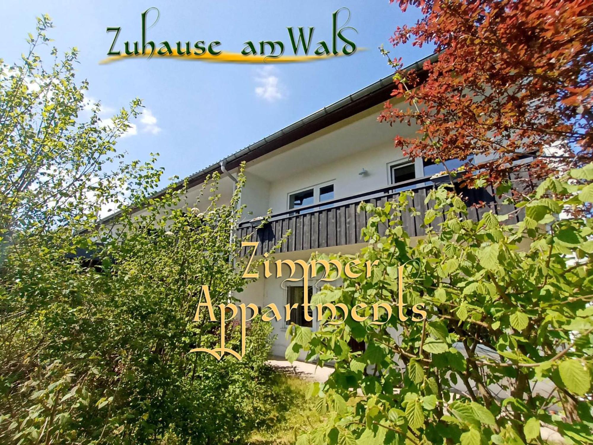 Ferienwohnung Zuhause Am Wald Brilon Exterior foto